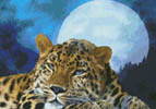 Kustom Krafts 98923 Leopard Moon (X Stitch Pattern Only) designed by Dyan Allaire